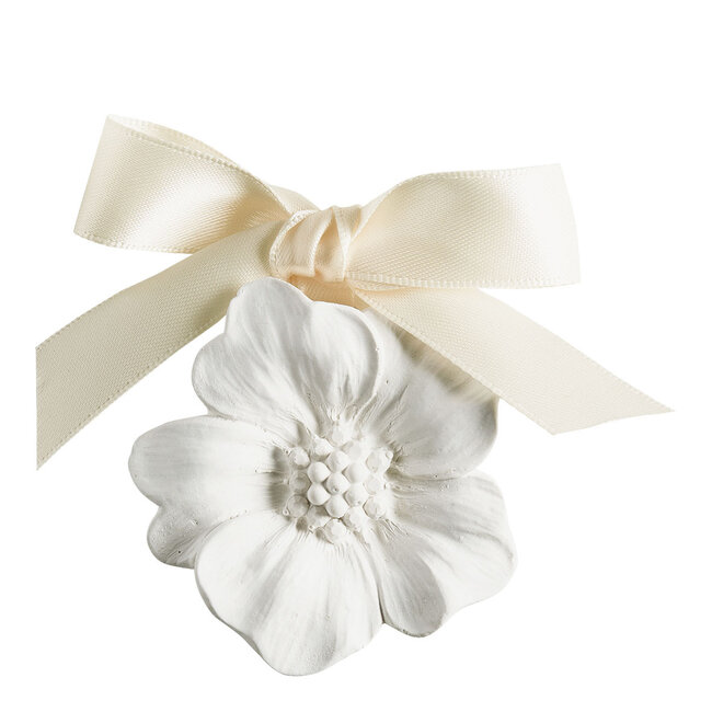 Mathilde M Musc Irisé - Giftbox Fête Nacrée