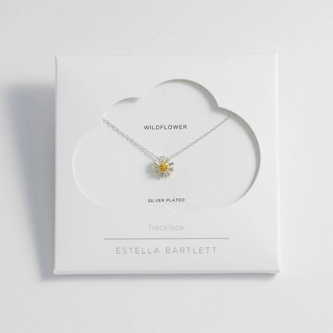 Estella Bartlett Ketting - Wildflower - Silver