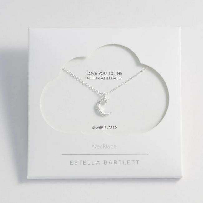 Estella Bartlett Ketting - Moon and Star - Silver