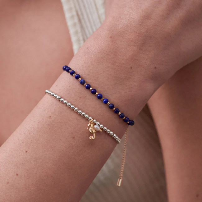 Estella Bartlett Armband - Sienna Seahorse - Gold