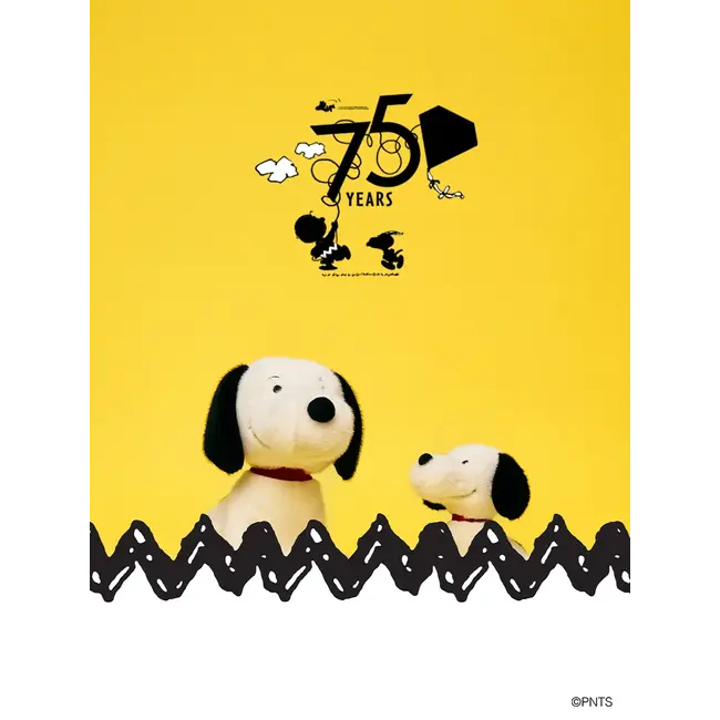 Bon Ton Toys Knuffel Snoopy - Ltd. Edition Good Ol' Charlie Brown 28cm