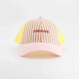 Chamaye Pet - Sunshine