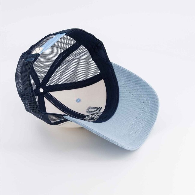 Chamaye Pet - Dream Team