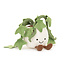 Jellycat Knuffel - Amuseables Ivy