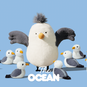 Oceaan