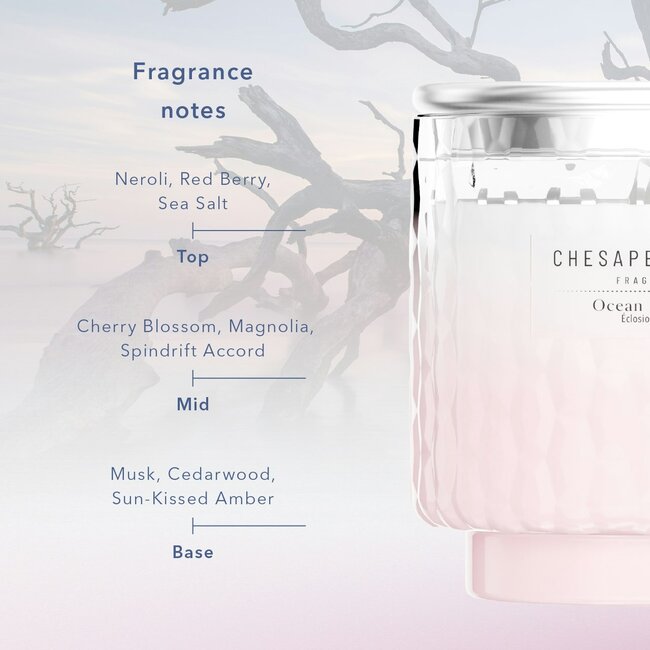 Chesapeake Bay Ocean Blossom - Large Candle