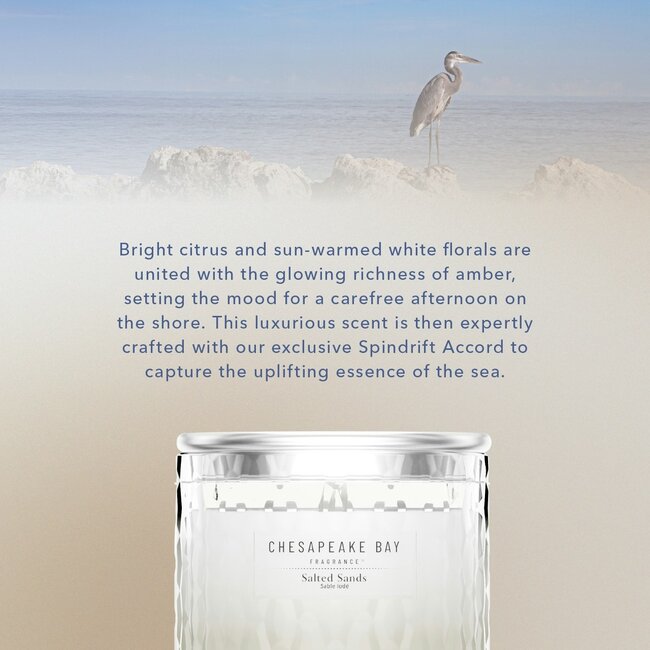 Chesapeake Bay Salted Sands - Medium Candle