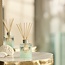 Chesapeake Bay Marine Drift - Reed Diffuser
