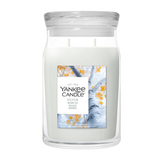 Yankee Candle Silver Birch - Large Jar