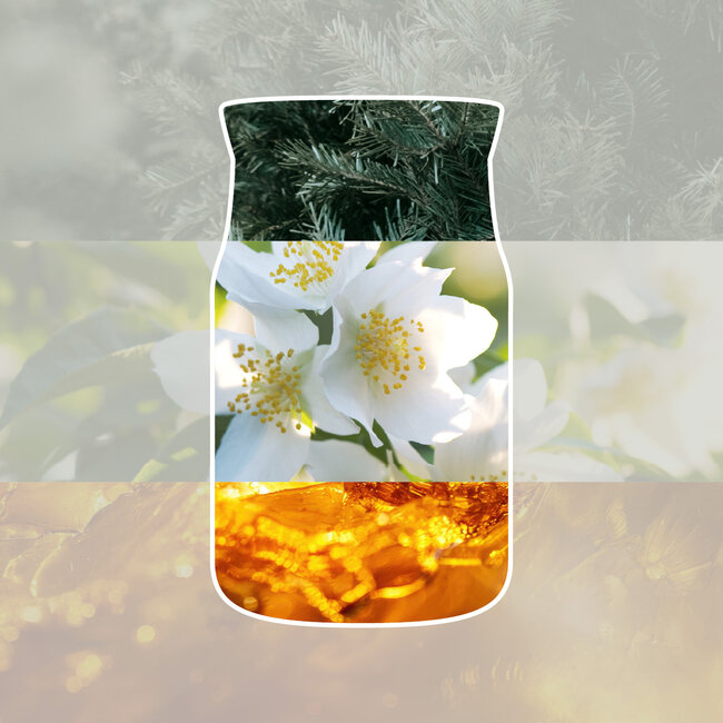 Yankee Candle Silver Birch - Medium Jar