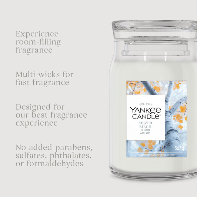 Yankee Candle Silver Birch - Large Jar