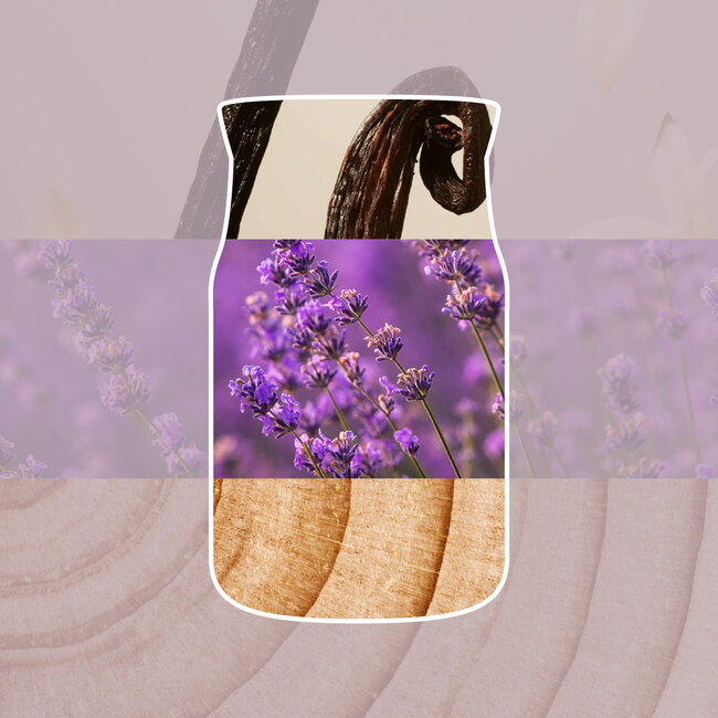 Yankee Candle Dried Lavender & Oak - Medium Jar