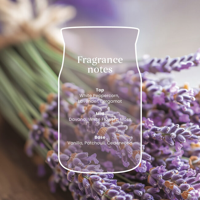 Yankee Candle Dried Lavender & Oak - Medium Jar