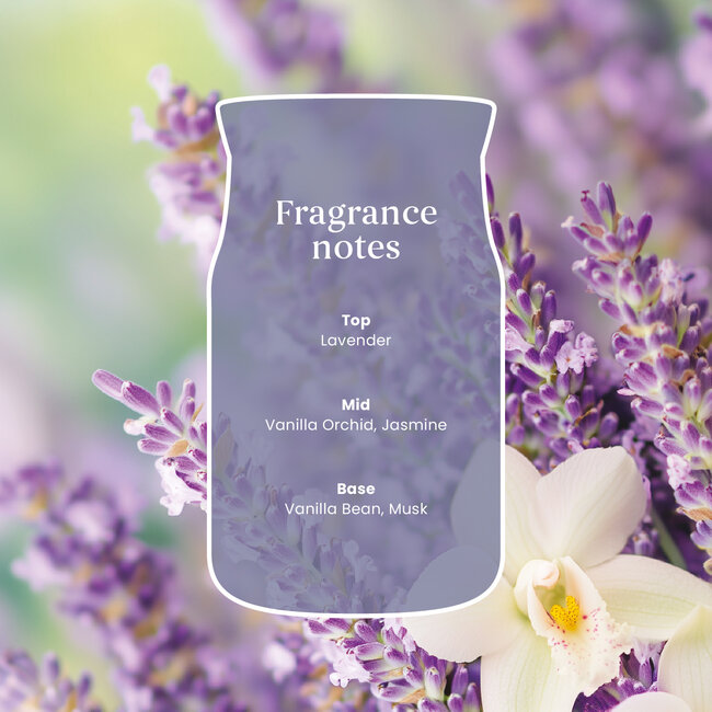 Yankee Candle Lavender Vanilla - Small Jar