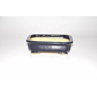 Hattori Tomoyuki Bonsai pot blauwe 15 cm