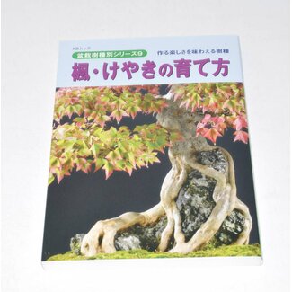 Acer Buergerianum bonsai manual