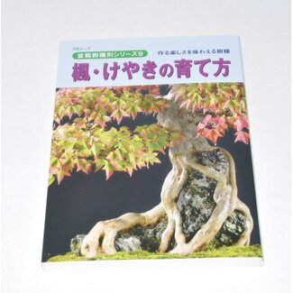 Manuale del bonsai di Acer Buergerianum