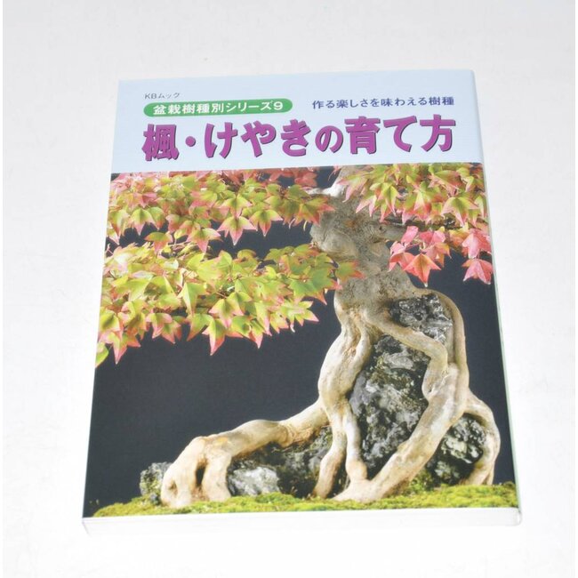 Manuale del bonsai di Acer Buergerianum