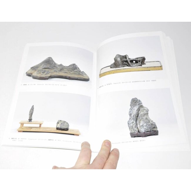 Exposition des chefs-d'œuvre japonais Suiseki # 53 FC