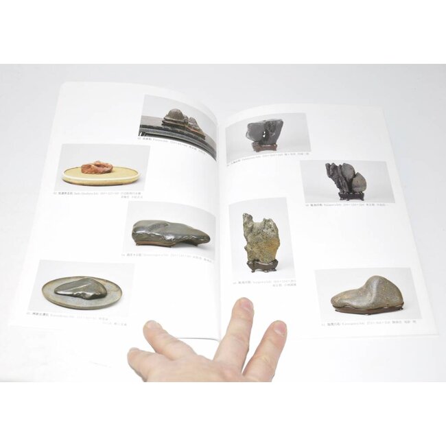 Esposizione di Suiseki giapponese capolavori 2004