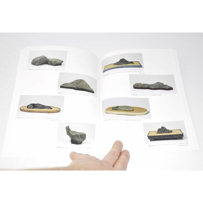 Exhibition of Japanese Suiseki masterpieces 1996