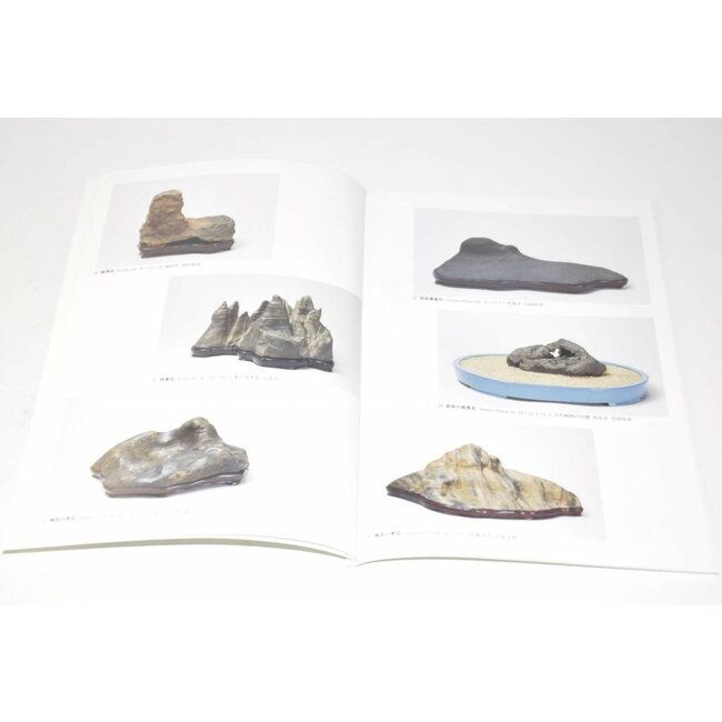 Exhibition of Japanese Suiseki masterpieces 1998