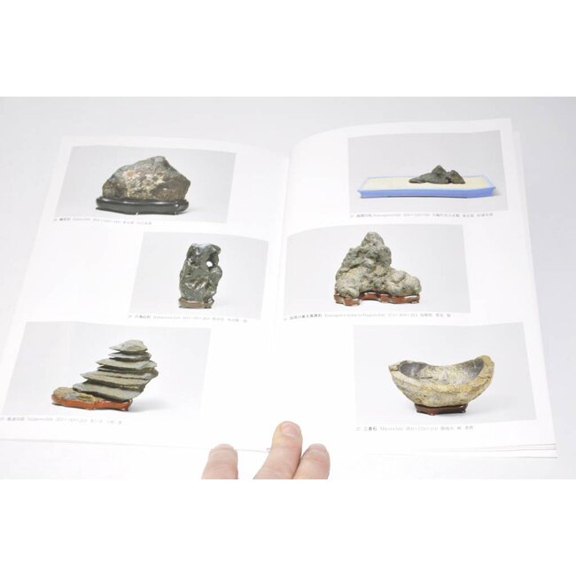 Esposizione di Suiseki giapponese capolavori 2005