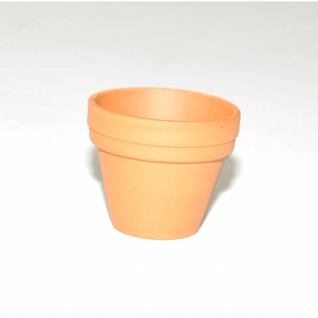 Vaso da addestramento in terracotta 35 mm
