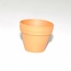 Terracotta training pot 35 mm