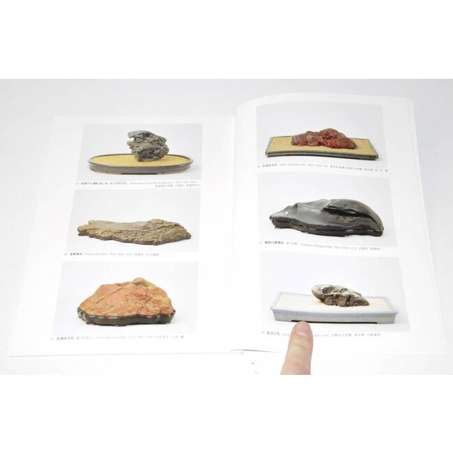 Exposition de japonais Suiseki chefs-d'œuvre 2003