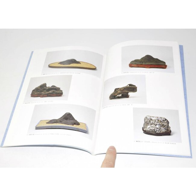 Internationale Suiseki-Ausstellung