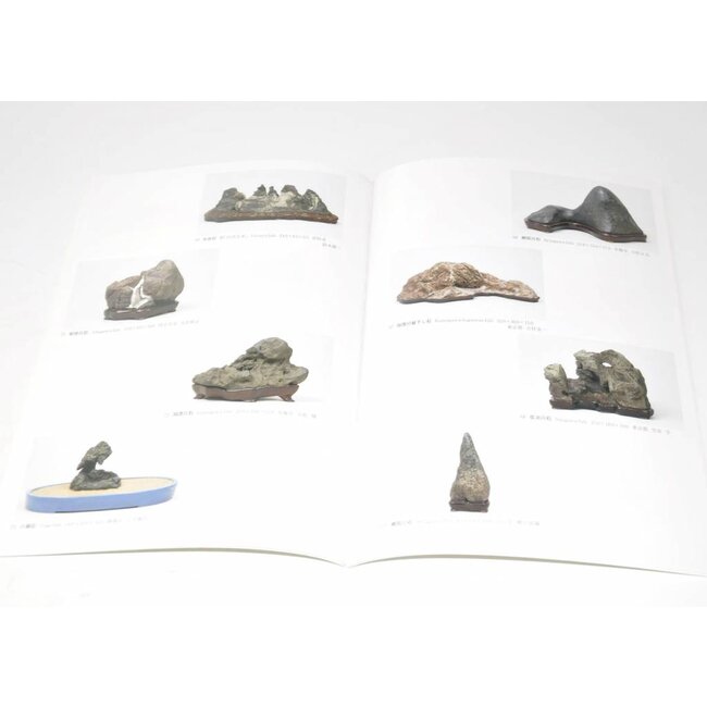 Exposition de japonais Suiseki chefs-d'œuvre 2008