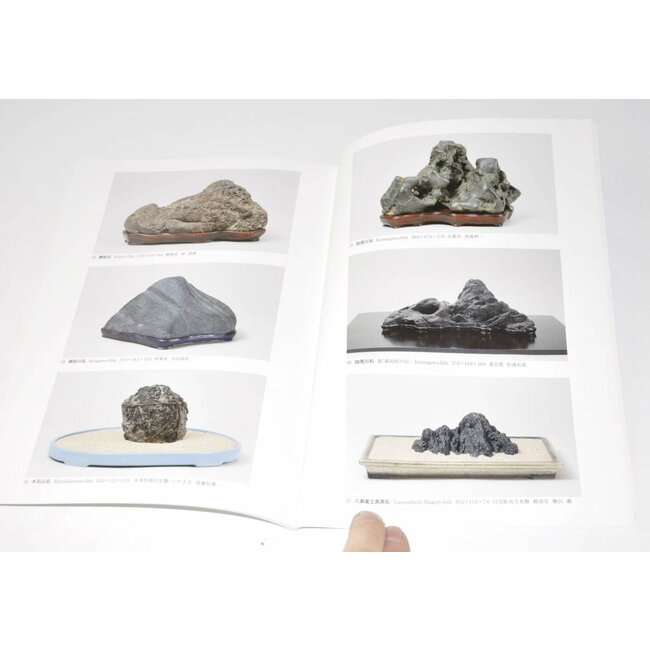 Exhibition of Japanese Suiseki masterpieces 2009