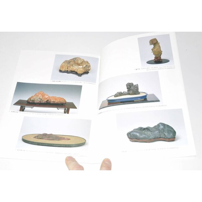 Exhibition of Japanese Suiseki masterpieces 2000