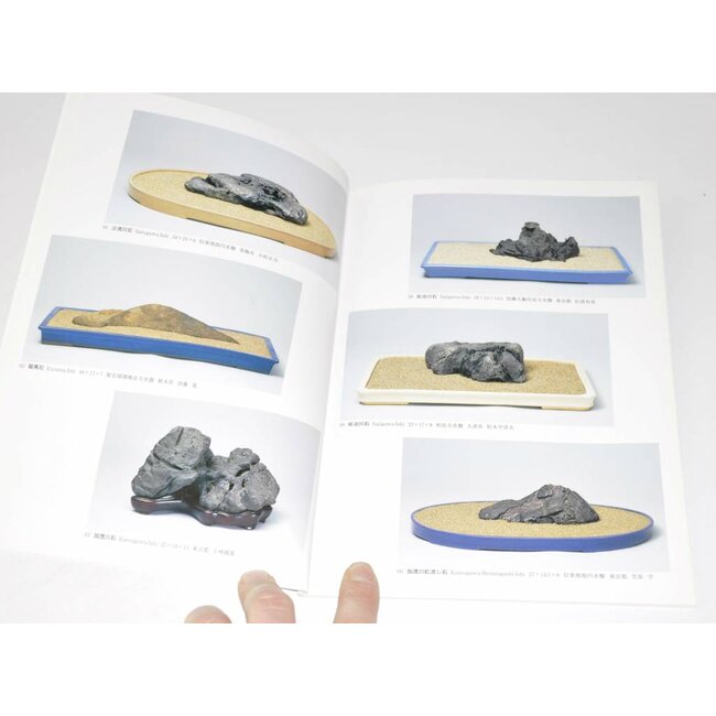 Exposition des japonais Suiseki chefs-d'œuvre 2002