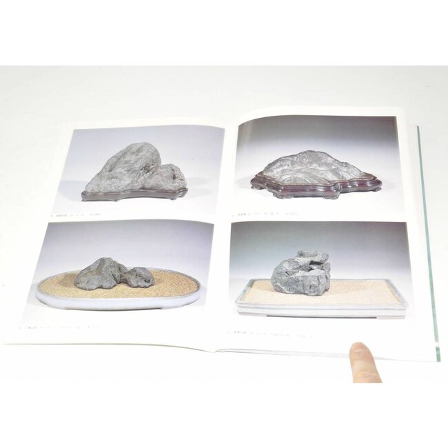 Exhibition of Japanese Suiseki masterpieces