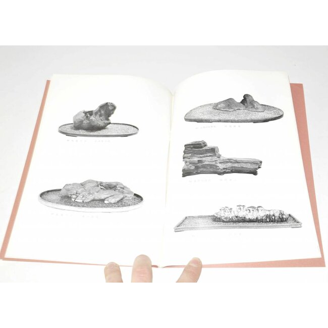 Exposición de obras maestras Suiseki japonés # 7