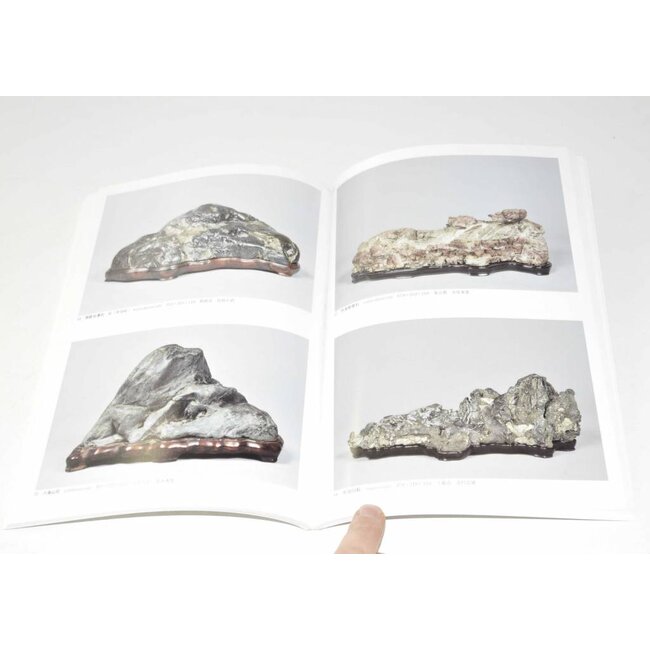 Exposition de japonais Suiseki masterpieces # 52