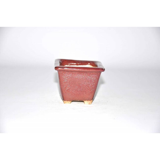 Akira matsumoto 7 cm Square bonsai pot red