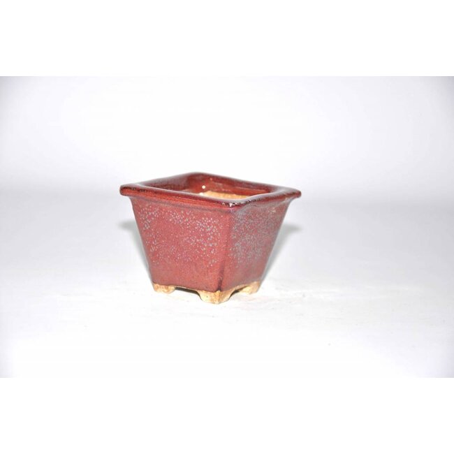 Akira matsumoto 7 cm Square bonsai pot red