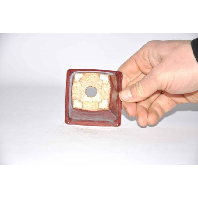 Akira matsumoto 7 cm Square bonsai pot red