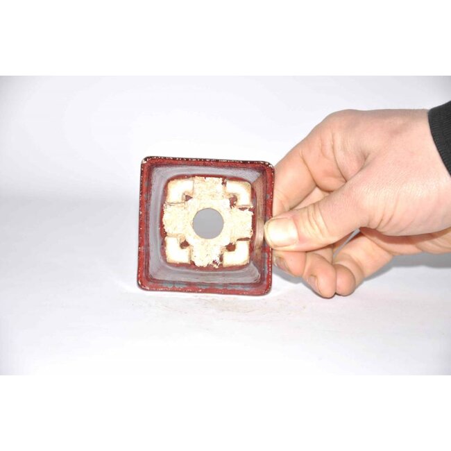 Akira matsumoto 7 cm Square bonsai pot red