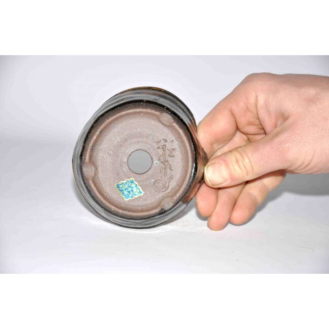 Daruma ronde pot 9,5 cm