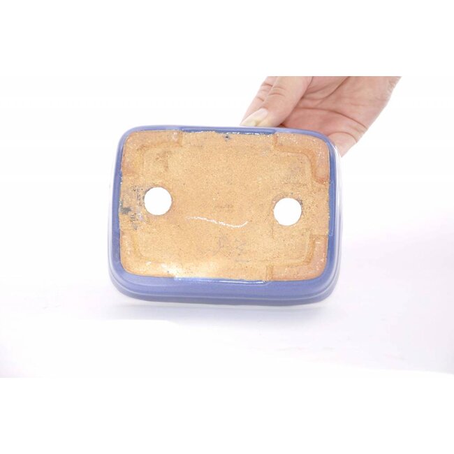 Rechteckiger Hattori Topf