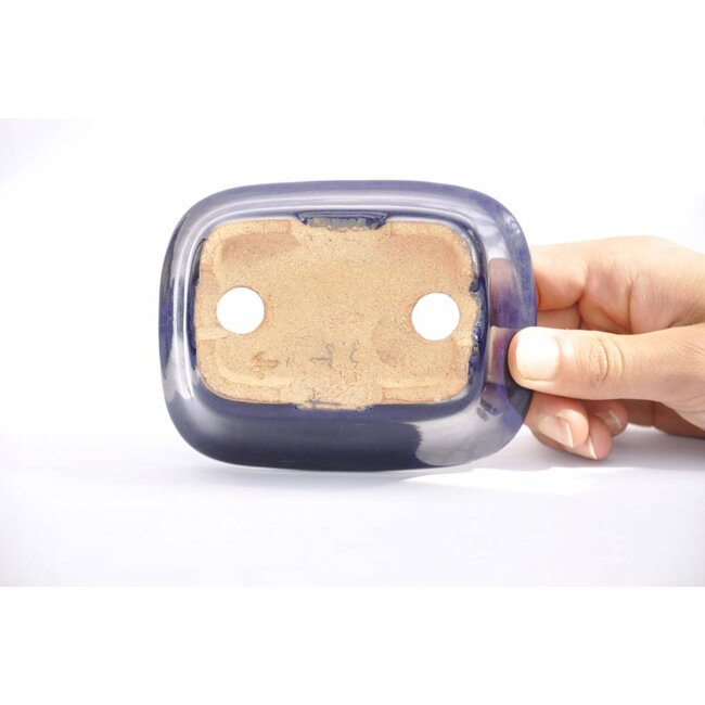 Pot Hattori Rectangulaire