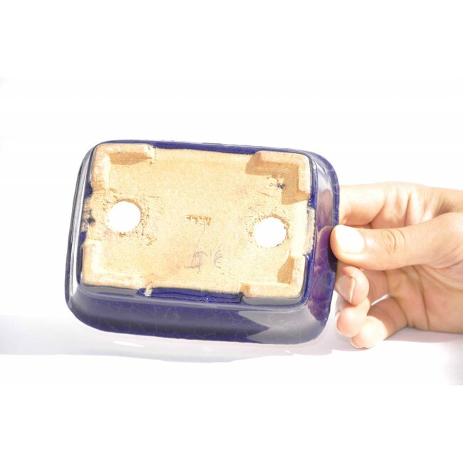 Rectangular Hattori pot