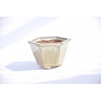 Bikou (Tokio) Pot hexagonal