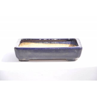 Hattori Tomoyuki Rectangular Hattori pot