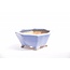 Pot hexagonal