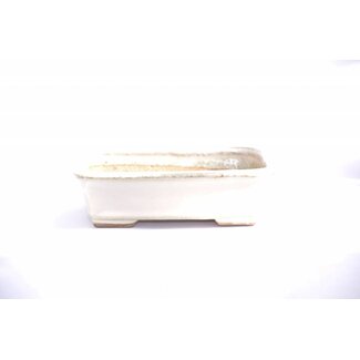 Hattori Tomoyuki Pot Hattori rectangulaire  Hattori Tomoyuki Pot Hattori rectangulaire